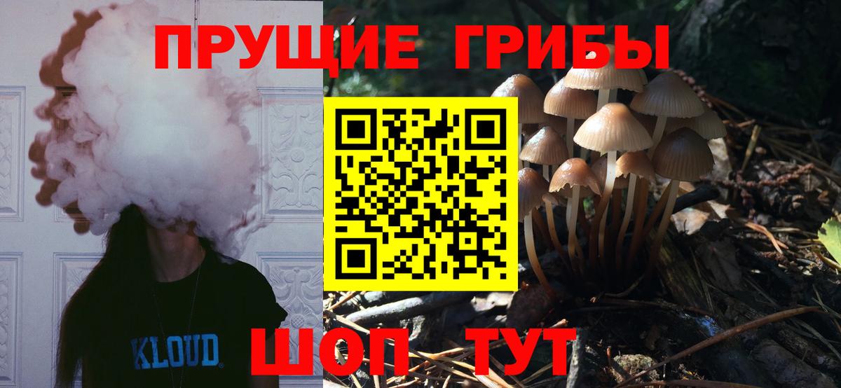 Галлюциногенные грибы Magic Shrooms  купить закладку  Новоалександровск  Вход с VPN 
